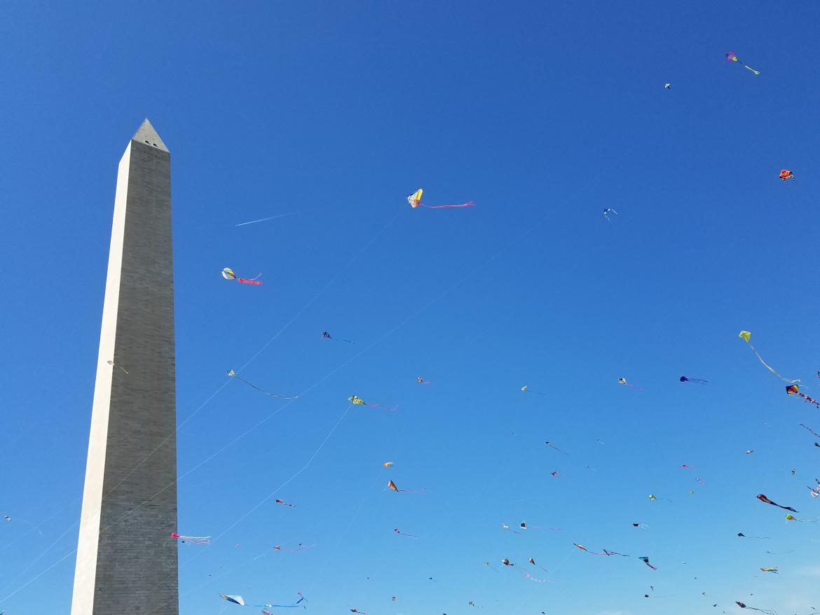 Washington Monument Kites